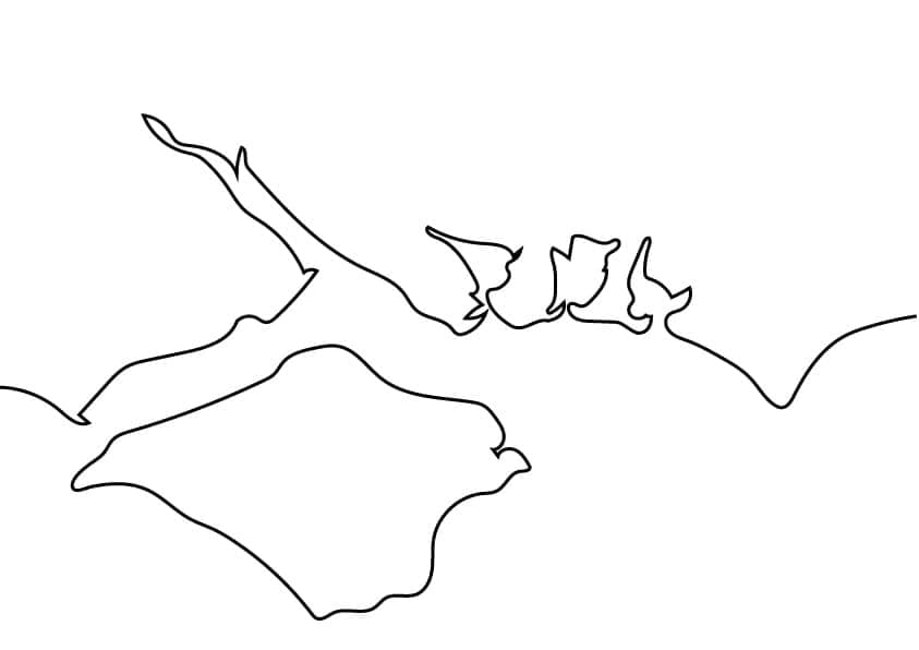 south coast outline 2