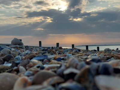 early-evening-on-a-pebble-beach-with-clouds-and-se-2025-02-11-16-24-09-utc